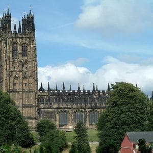 Heroic Military Veteran Stepped in to Save Woman Under Attack by XL Bully in Wrexham