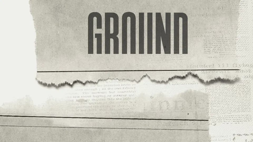 War of words breaks out as Liverpool 'dog walking tax' plans denied - Liverpool Echo