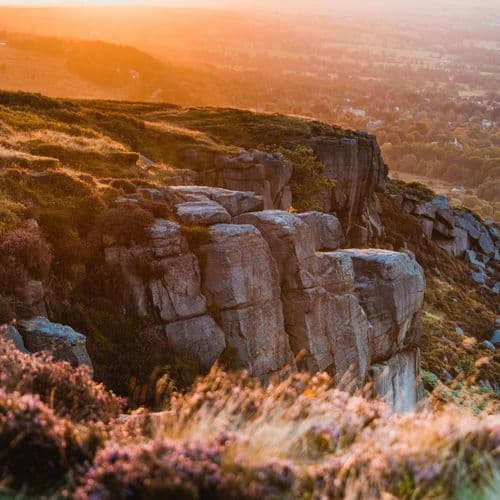 Warning to Tesco shoppers as supermarket giant says 'we're sorry'