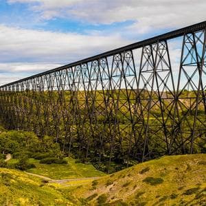 Lethbridge police cracking down on tinted windows following serious crashes