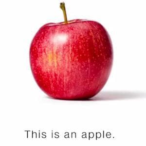 Pumpkin or apple? America’s fiercest Thanksgiving dessert debate heats up