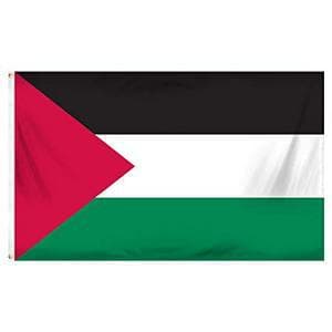 Portsmouth establishes 'friendship link' with town in Palestine