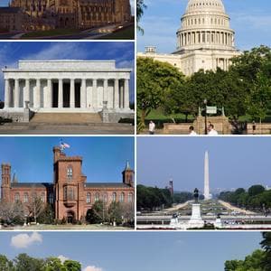 US Botanic Garden features dinosaurs for holiday displays in 'Season's Greenings'